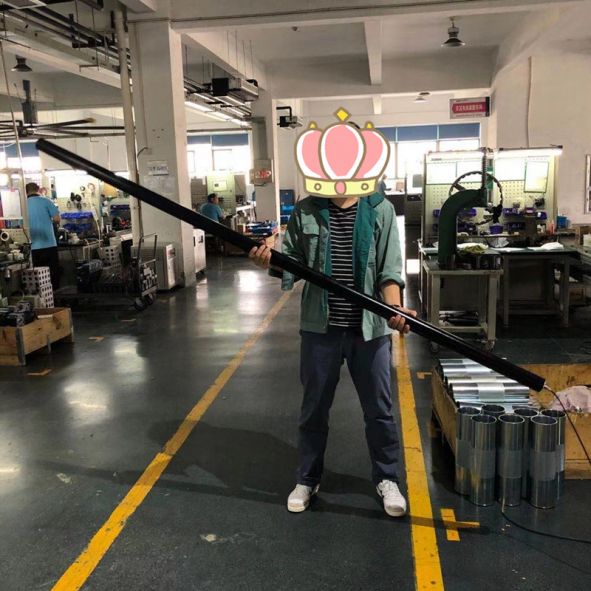中大BL电动滚筒订制